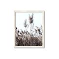 Picture of In the Fields _GroupedProduct_Rectangle_Portrait_Photography _GroupedProduct_Rectangle_Portrait_Framed_Matted_