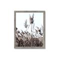 Picture of In the Fields _GroupedProduct_Rectangle_Portrait_Photography _GroupedProduct_Rectangle_Portrait_Framed_Matted_