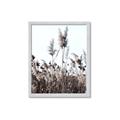 Picture of In the Fields _GroupedProduct_Rectangle_Portrait_Photography _GroupedProduct_Rectangle_Portrait_Framed_Matted_