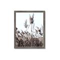 Picture of In the Fields _GroupedProduct_Rectangle_Portrait_Photography _GroupedProduct_Rectangle_Portrait_Framed_Matted_