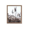 Picture of In the Fields _GroupedProduct_Rectangle_Portrait_Photography _GroupedProduct_Rectangle_Portrait_Framed_Matted_