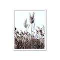 Picture of In the Fields _GroupedProduct_Rectangle_Portrait_Photography _GroupedProduct_Rectangle_Portrait_Framed_Matted_