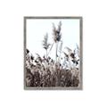 Picture of In the Fields _GroupedProduct_Rectangle_Portrait_Photography _GroupedProduct_Rectangle_Portrait_Framed_Matted_