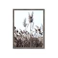 Picture of In the Fields _GroupedProduct_Rectangle_Portrait_Photography _GroupedProduct_Rectangle_Portrait_Framed_Matted_