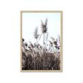 Picture of In the Fields _GroupedProduct_Rectangle_Portrait_Photography _GroupedProduct_Rectangle_Portrait_Framed_Matted_