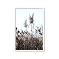 Picture of In the Fields _GroupedProduct_Rectangle_Portrait_Photography _GroupedProduct_Rectangle_Portrait_Framed_Matted_