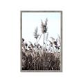 Picture of In the Fields _GroupedProduct_Rectangle_Portrait_Photography _GroupedProduct_Rectangle_Portrait_Framed_Matted_