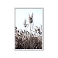 Picture of In the Fields _GroupedProduct_Rectangle_Portrait_Photography _GroupedProduct_Rectangle_Portrait_Framed_Matted_