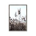 Picture of In the Fields _GroupedProduct_Rectangle_Portrait_Photography _GroupedProduct_Rectangle_Portrait_Framed_Matted_