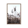 Picture of In the Fields _GroupedProduct_Rectangle_Portrait_Photography _GroupedProduct_Rectangle_Portrait_Framed_Matted_