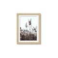 Picture of In the Fields _GroupedProduct_Rectangle_Portrait_Photography _GroupedProduct_Rectangle_Portrait_Framed_Matted_
