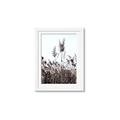 Picture of In the Fields _GroupedProduct_Rectangle_Portrait_Photography _GroupedProduct_Rectangle_Portrait_Framed_Matted_
