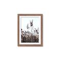 Picture of In the Fields _GroupedProduct_Rectangle_Portrait_Photography _GroupedProduct_Rectangle_Portrait_Framed_Matted_