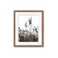 Picture of In the Fields _GroupedProduct_Rectangle_Portrait_Photography _GroupedProduct_Rectangle_Portrait_Framed_Matted_