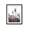 Picture of In the Fields _GroupedProduct_Rectangle_Portrait_Photography _GroupedProduct_Rectangle_Portrait_Framed_Matted_