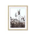 Picture of In the Fields _GroupedProduct_Rectangle_Portrait_Photography _GroupedProduct_Rectangle_Portrait_Framed_Matted_