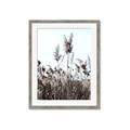 Picture of In the Fields _GroupedProduct_Rectangle_Portrait_Photography _GroupedProduct_Rectangle_Portrait_Framed_Matted_