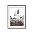 Picture of In the Fields _GroupedProduct_Rectangle_Portrait_Photography _GroupedProduct_Rectangle_Portrait_Framed_Matted_