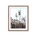 Picture of In the Fields _GroupedProduct_Rectangle_Portrait_Photography _GroupedProduct_Rectangle_Portrait_Framed_Matted_