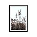 Picture of In the Fields _GroupedProduct_Rectangle_Portrait_Photography _GroupedProduct_Rectangle_Portrait_Framed_Matted_