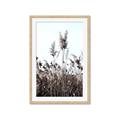 Picture of In the Fields _GroupedProduct_Rectangle_Portrait_Photography _GroupedProduct_Rectangle_Portrait_Framed_Matted_