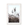 Picture of In the Fields _GroupedProduct_Rectangle_Portrait_Photography _GroupedProduct_Rectangle_Portrait_Framed_Matted_