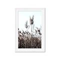 Picture of In the Fields _GroupedProduct_Rectangle_Portrait_Photography _GroupedProduct_Rectangle_Portrait_Framed_Matted_