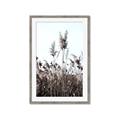Picture of In the Fields _GroupedProduct_Rectangle_Portrait_Photography _GroupedProduct_Rectangle_Portrait_Framed_Matted_