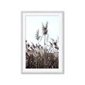 Picture of In the Fields _GroupedProduct_Rectangle_Portrait_Photography _GroupedProduct_Rectangle_Portrait_Framed_Matted_