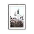 Picture of In the Fields _GroupedProduct_Rectangle_Portrait_Photography _GroupedProduct_Rectangle_Portrait_Framed_Matted_