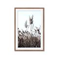 Picture of In the Fields _GroupedProduct_Rectangle_Portrait_Photography _GroupedProduct_Rectangle_Portrait_Framed_Matted_