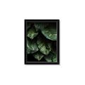 Picture of Jungle Leaves  _GroupedProduct_Rectangle_Portrait_Photography _GroupedProduct_Rectangle_Portrait_Framed_Matted_