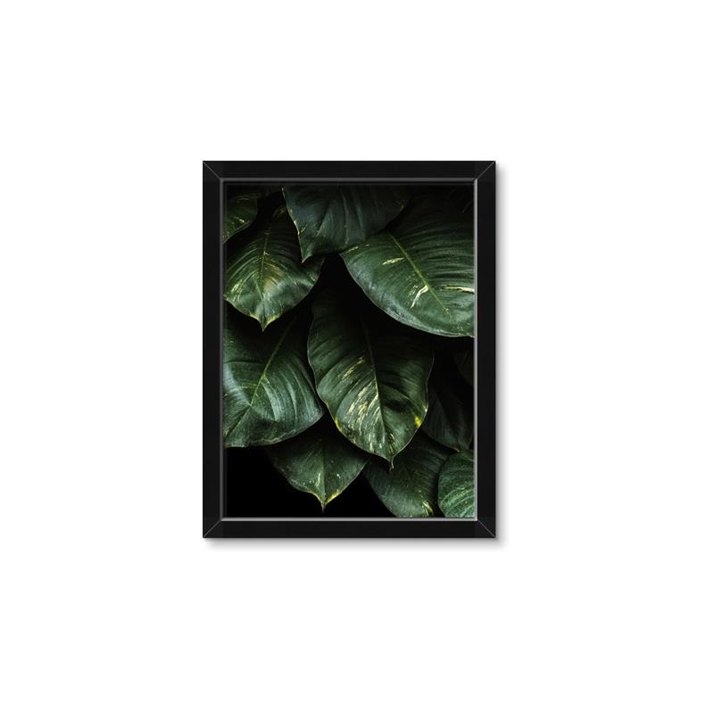 Picture of Jungle Leaves  _GroupedProduct_Rectangle_Portrait_Photography _GroupedProduct_Rectangle_Portrait_Framed_Matted_