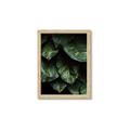 Picture of Jungle Leaves  _GroupedProduct_Rectangle_Portrait_Photography _GroupedProduct_Rectangle_Portrait_Framed_Matted_