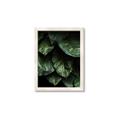 Picture of Jungle Leaves  _GroupedProduct_Rectangle_Portrait_Photography _GroupedProduct_Rectangle_Portrait_Framed_Matted_
