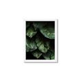 Picture of Jungle Leaves  _GroupedProduct_Rectangle_Portrait_Photography _GroupedProduct_Rectangle_Portrait_Framed_Matted_