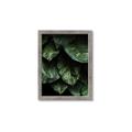 Picture of Jungle Leaves  _GroupedProduct_Rectangle_Portrait_Photography _GroupedProduct_Rectangle_Portrait_Framed_Matted_