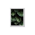 Picture of Jungle Leaves  _GroupedProduct_Rectangle_Portrait_Photography _GroupedProduct_Rectangle_Portrait_Framed_Matted_