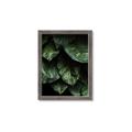 Picture of Jungle Leaves  _GroupedProduct_Rectangle_Portrait_Photography _GroupedProduct_Rectangle_Portrait_Framed_Matted_