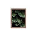 Picture of Jungle Leaves  _GroupedProduct_Rectangle_Portrait_Photography _GroupedProduct_Rectangle_Portrait_Framed_Matted_
