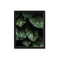 Picture of Jungle Leaves  _GroupedProduct_Rectangle_Portrait_Photography _GroupedProduct_Rectangle_Portrait_Framed_Matted_