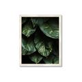 Picture of Jungle Leaves  _GroupedProduct_Rectangle_Portrait_Photography _GroupedProduct_Rectangle_Portrait_Framed_Matted_