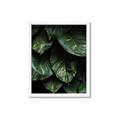 Picture of Jungle Leaves  _GroupedProduct_Rectangle_Portrait_Photography _GroupedProduct_Rectangle_Portrait_Framed_Matted_