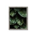 Picture of Jungle Leaves  _GroupedProduct_Rectangle_Portrait_Photography _GroupedProduct_Rectangle_Portrait_Framed_Matted_