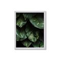 Picture of Jungle Leaves  _GroupedProduct_Rectangle_Portrait_Photography _GroupedProduct_Rectangle_Portrait_Framed_Matted_