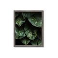 Picture of Jungle Leaves  _GroupedProduct_Rectangle_Portrait_Photography _GroupedProduct_Rectangle_Portrait_Framed_Matted_