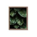 Picture of Jungle Leaves  _GroupedProduct_Rectangle_Portrait_Photography _GroupedProduct_Rectangle_Portrait_Framed_Matted_