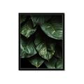 Picture of Jungle Leaves  _GroupedProduct_Rectangle_Portrait_Photography _GroupedProduct_Rectangle_Portrait_Framed_Matted_