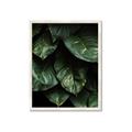 Picture of Jungle Leaves  _GroupedProduct_Rectangle_Portrait_Photography _GroupedProduct_Rectangle_Portrait_Framed_Matted_