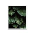 Picture of Jungle Leaves  _GroupedProduct_Rectangle_Portrait_Photography _GroupedProduct_Rectangle_Portrait_Framed_Matted_
